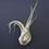Tillandsias